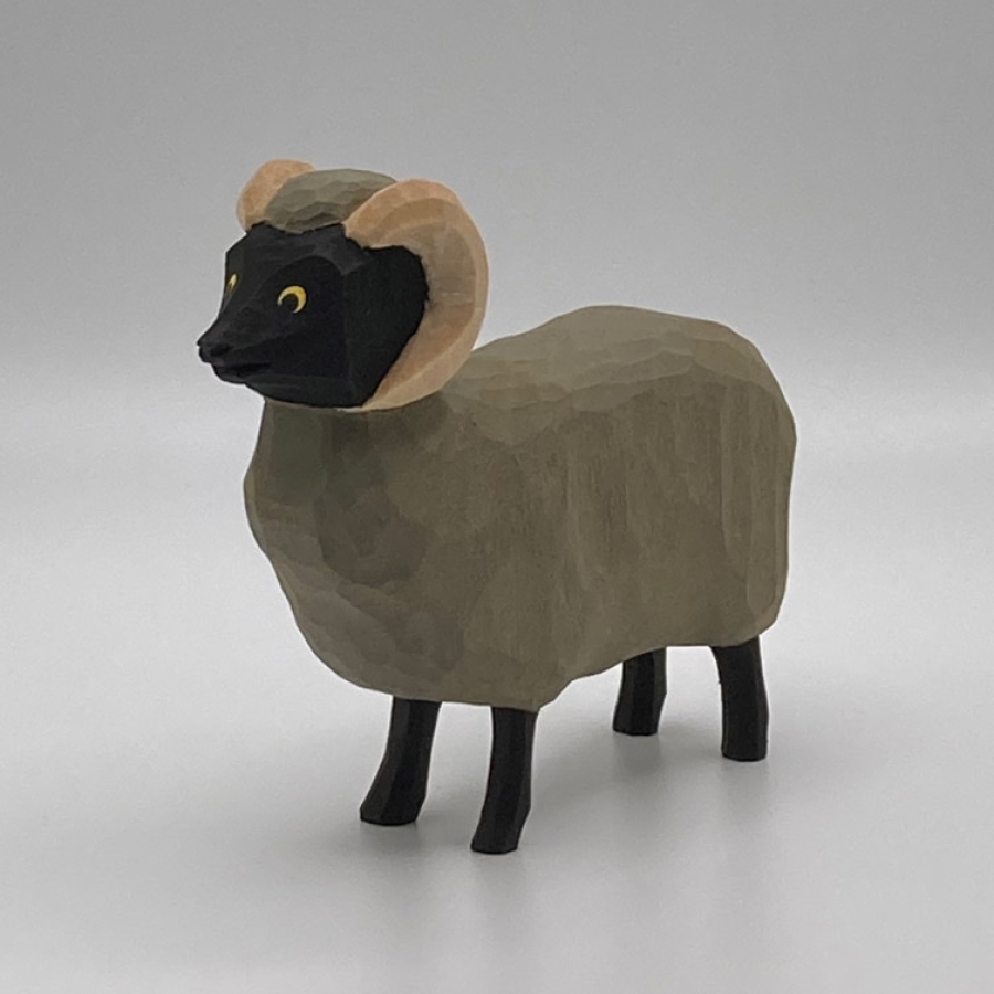 Sheep, Ram, Standing 
