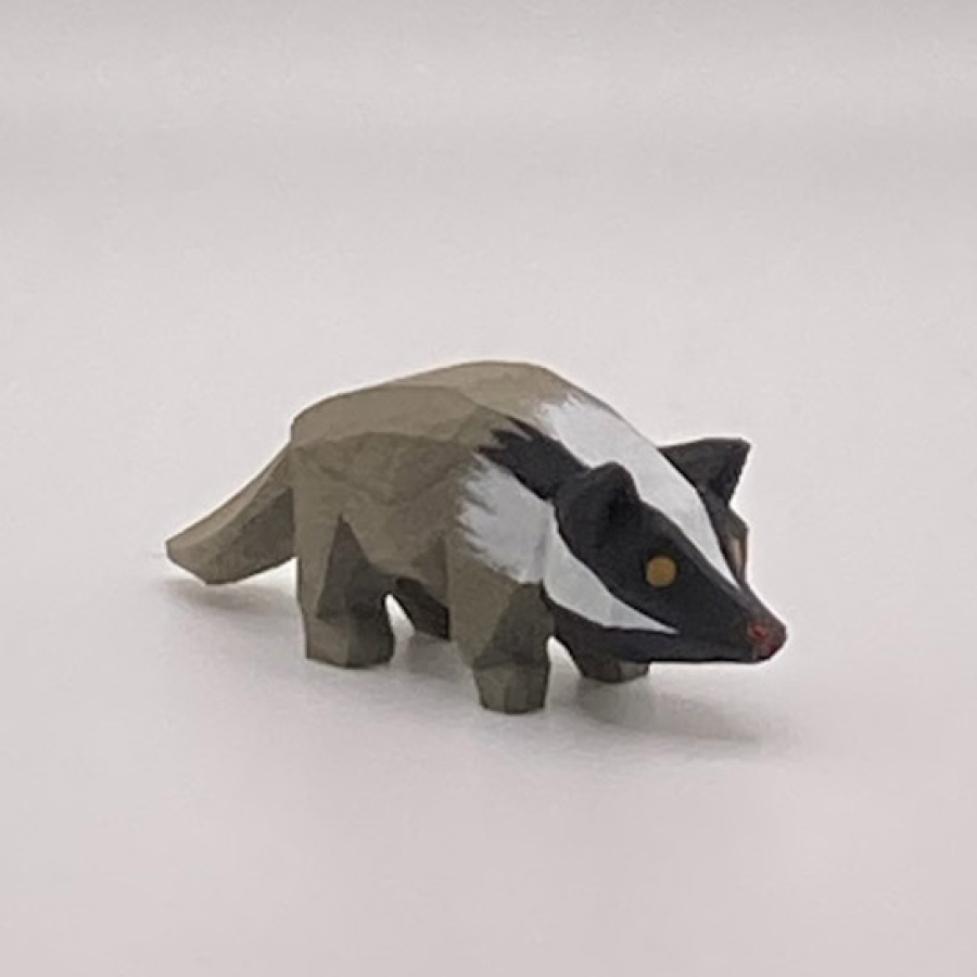Badger, Small, Pointing