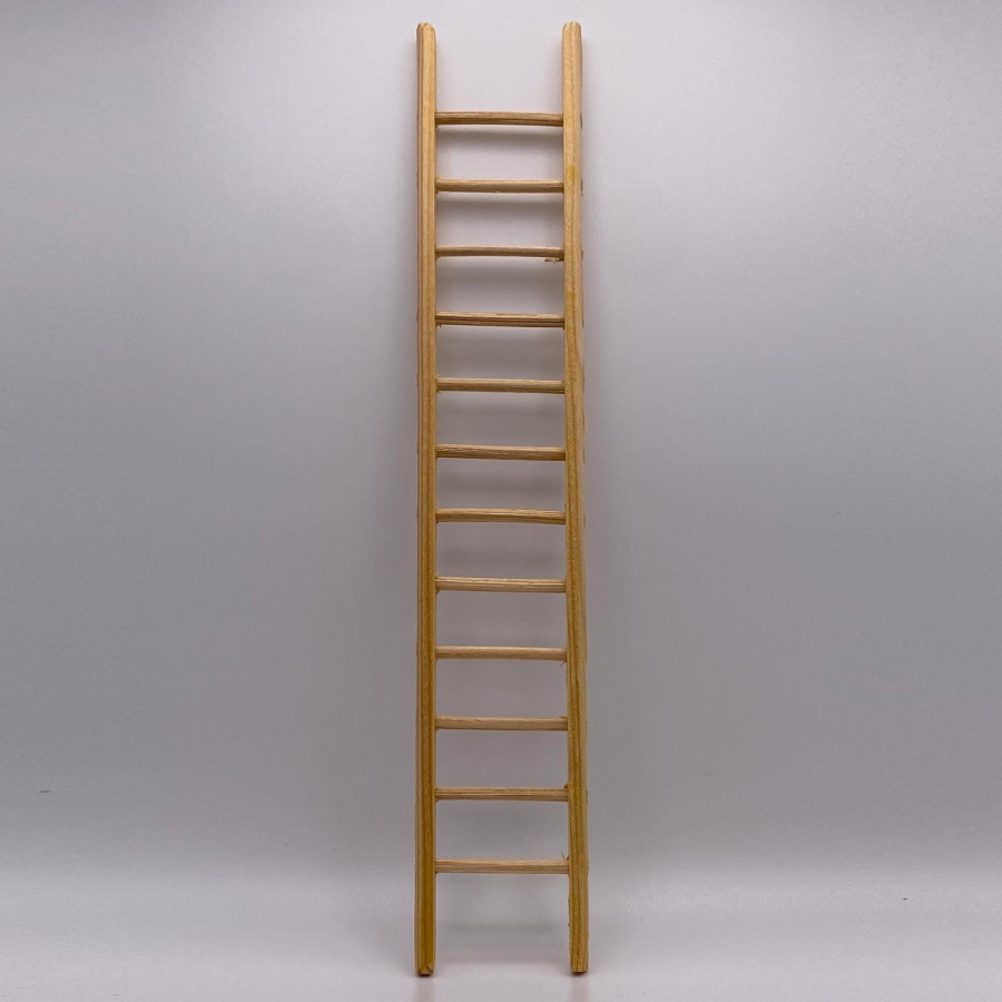 Ladder, Large