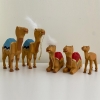 Camels